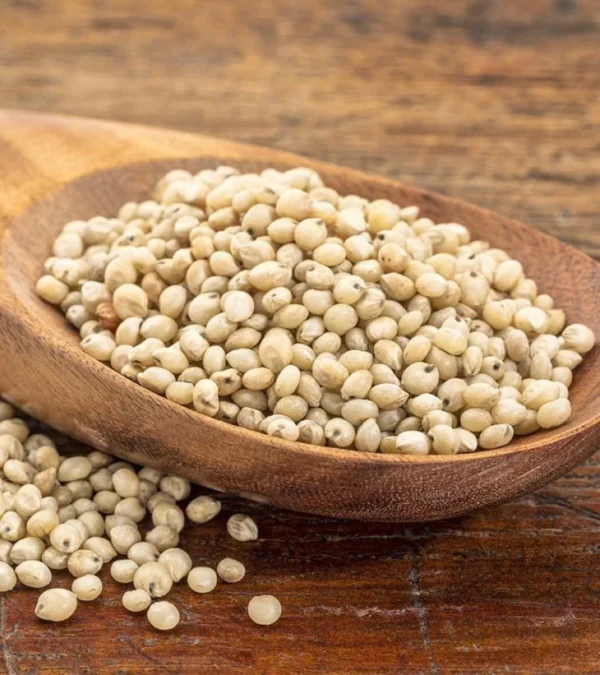 Jowar(Sorghum)