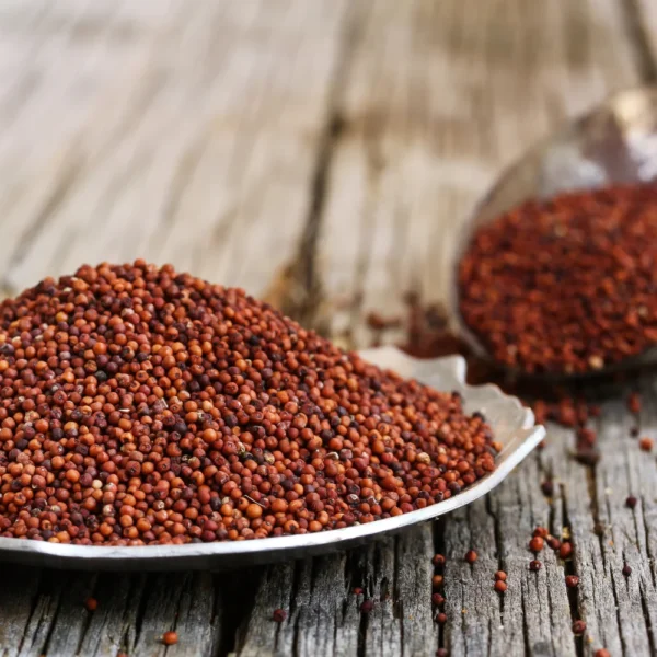 Finger Millet