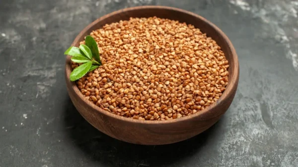 Browntop Millet
